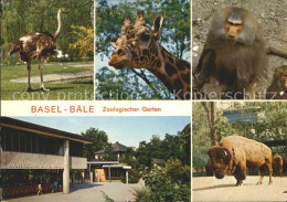 11715588 Basel BS Zoologischer Garten Strauss Giraffe Pavian B?ffel Basel BS - Autres & Non Classés