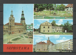 Poland Polska 1978 SZPROTAWA, Unused - Poland