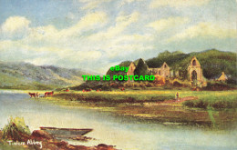 R610366 Tintern Abbey. Ruined Abbeys. Series 5366. S. Hildesheimer - Mundo