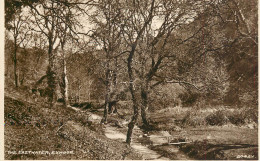 United Kingdom England Exmoor The Eastwater - Sonstige & Ohne Zuordnung