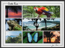 Animals Costa Rica * Scarlet Macaw * Iguana * Butterfly * Jaco Beach - Vogels