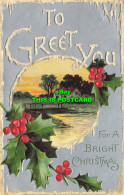 R611084 To Greet You For A Bright Christmas. Davidson Bros. Serie 3007. 1909 - World