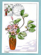 Carte Maximum Monaco 1986 - Concours International De Bouquets 1986 - Ikebana : Lilium Et Branche De Hêtre - Maximum Cards