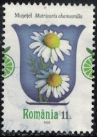 Roumanie 2023 Oblitéré Used Plantes Médicinales Matricaria Chamomilla Camomille Sauvage Y&T RO 6967 SU - Used Stamps