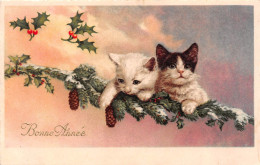 Carte Postale Fantaisie CHAT- Animaux -BONNE ANNEE-Branche Sapin-Houx  Editeur Pittius - Cats