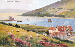 United Kingdom Scotland Arran Lochranza - Other & Unclassified