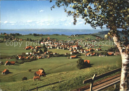 11713053 Speicher AR Mit Bodenseeblick Speicher - Autres & Non Classés