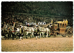 Animals * Horses State Coach * Vienna * Austria - Caballos