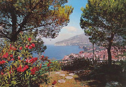 AK 216905 ITALY - Sorrento - Other & Unclassified