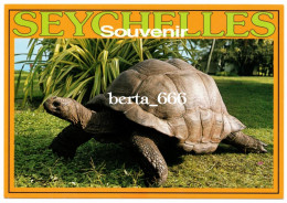 Animals * Esmeralda The Biggest Tortoise * Bird Island * Seychelles * Tortue - Tortues