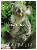 Animals * Koala * Australia - Other & Unclassified