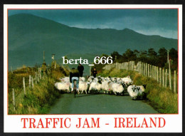 Animals * Sheeps * Traffic Jam * Ireland - Other & Unclassified