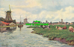 R610461 Zaandam. S. Hildesheimer. Views Of Holland Series No. 5393 - Mundo