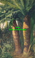 R611156 British East Africa. Giant Palm Trees. Valentine. A. V. Hammond. No. 12 - Mundo