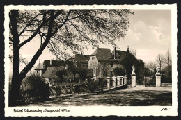 AK Schwanberg Im Steigerwald, Blick Zum Schloss  - Altri & Non Classificati