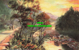 R610474 Borrowdale Birches. S. Hildesheimer. English Lakes Series No. 5409 - Mundo
