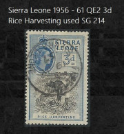 British Colonies; Sierra Leone 1956 - 61 QE2 3d Rice Harvesting Used SG 214 - Sierra Leona (...-1960)