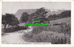 R611783 Yorkshire. The White Horse Of Hambleton. C. And Co. T. 1908 - World