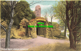 R611787 Dudley Castle. Triple Gate. Prince Series - World