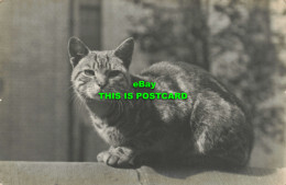 R611791 Cat. Postcard. 1912 - World