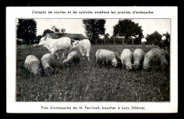 58 - LUZY - ELEVAGE DE M. PERRIAULT, BOUCHER - Altri & Non Classificati