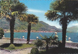 AK 216942 ITALY - Salo / Lago Di Garda - Altri & Non Classificati