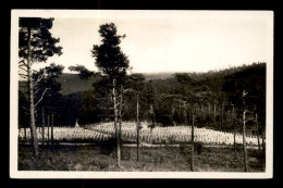 67 - CIMETIERE MILITAIRE AU WETTSTEIN - Altri & Non Classificati