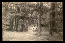 94 - VILLENEUVE-L'ETANG - LE PARC ET LE VIEUX PONT - Sonstige & Ohne Zuordnung