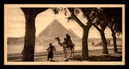 EGYPTE - LENHERT & LANDROCK N° 8 - CAIRO - THE PYRAMIDS - CHAMEAU - FORMAT 15 X 7.5 CM - Le Caire