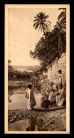 EGYPTE - LENHERT & LANDROCK N°31 - NOONTIDEREST IN THE OASIS - FORMAT 15 X 7.5 CM - Autres & Non Classés