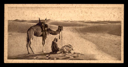EGYPTE - LENHERT & LANDROCK N°39 - PRAYER IN THE DESERT - CHAMEAUX - FORMAT 15 X 7.5 CM - Autres & Non Classés