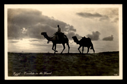 EGYPTE - LENHERT & LANDROCK N°128 - EVENTIDE IN THE DESERT - CHAMEAUX - Otros & Sin Clasificación