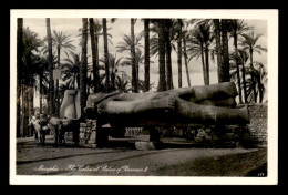 EGYPTE - LENHERT & LANDROCK N°177 - MEMPHIS - THE STATUE OF RAMESES II - Other & Unclassified