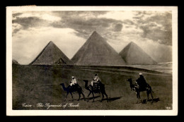 EGYPTE - LENHERT & LANDROCK N°169 - CAIRO - THE PYRAMIDS OF GIZEH - CHAMEAUX - Le Caire