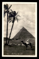 EGYPTE - LENHERT & LANDROCK N°171 - CAIRO - THE CHEOPS PYRAMID - CHAMEAUX - Cairo