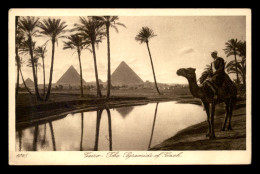 EGYPTE - LENHERT & LANDROCK N°1045 - CAIRO - THE PYRAMIDS - Le Caire