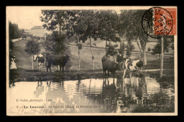 07 - LA LOUVESC - AU BORD DE L'ETANG DE MAISON-CLAIRE - VACHES - La Louvesc