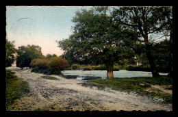 41 - ENVIRONS DE LAMOTTE BEUVRON - L'ETANG DU CHENE - Lamotte Beuvron