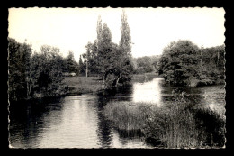 41 - FRETEVAL - LE LOIR ET LE CAMPING - Sonstige & Ohne Zuordnung