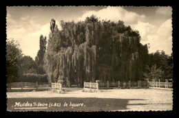 41 - MUIDES-SUR-LOIRE - LE SQUARE - Altri & Non Classificati