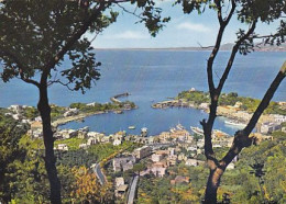 AK 216955 ITALY - Ischia - Il Porto - Andere & Zonder Classificatie