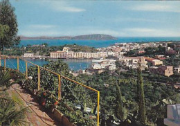 AK 216957 ITALY - Ischia - Il Porto - Andere & Zonder Classificatie