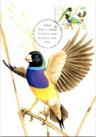 5-5-2024 (4 Z 11) Australia (1 Card) Maxicard - Endangered Birds - Gouldian Finch - Maximum Cards