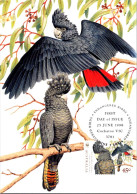 5-5-2024 (4 Z 11) Australia (1 Card) Maxicard - Endangered Birds - Red-tailed Back-Cockatoo - Cartas Máxima