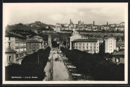 Cartolina Bergamo, Viale Roma  - Bergamo