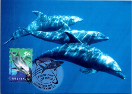 5-5-2024 (4 Z 11) Australia (1 Card) Maxicard - Bottlenose Dolphins - Maximum Cards