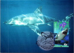 5-5-2024 (4 Z 11) Australia (1 Card) Maxicard - White Pointer Shark - Maximumkarten