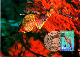 5-5-2024 (4 Z 11) Australia (1 Card) Maxicard - Weedy Seadragon (Seahorse Or Hippocampe) - Tarjetas – Máxima