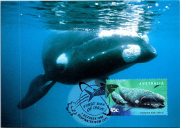 5-5-2024 (4 Z 11) Australia (1 Card) Maxicard - Southern Right Whale - Maximumkarten (MC)