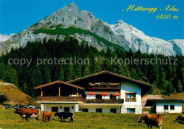 73367090 Muehlbach Hochkoenig Mitteregg Alm Muehlbach Hochkoenig - Otros & Sin Clasificación